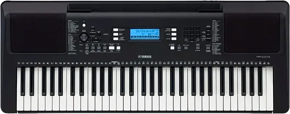 Psr-E373